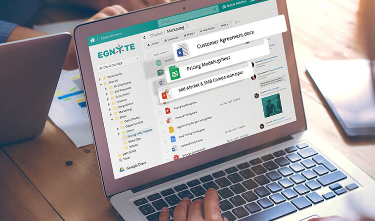 Egnyte Trusted Platform Services